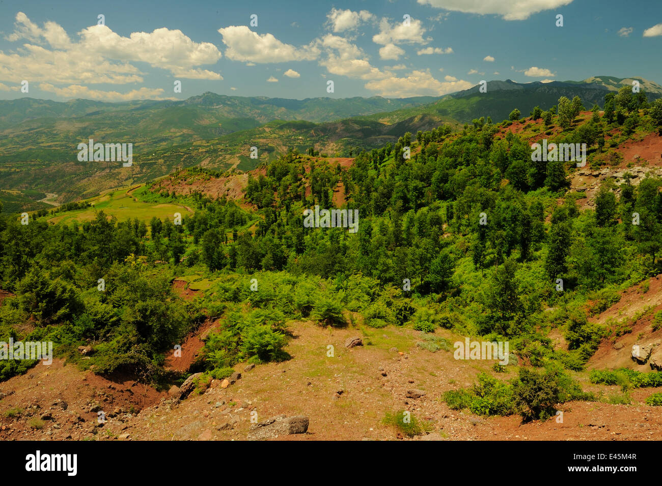 Typische Landschaft in Shebeniku-Jabllanica Nationalpark, Albanien, Juni 2009 Stockfoto