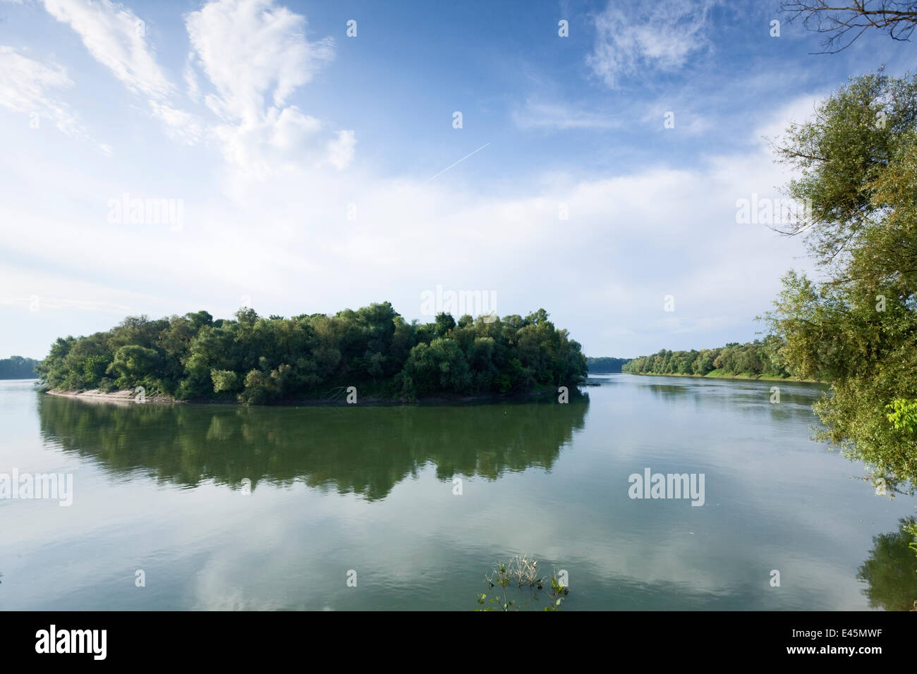 Baum-bedeckte Insel im Fluss Sava, Naturpark Lonjsko Polje, in der Nähe von Puska Dorf, Kroatien (rechts) Bosnien und Herzegowina (links) Juni 2009 Stockfoto