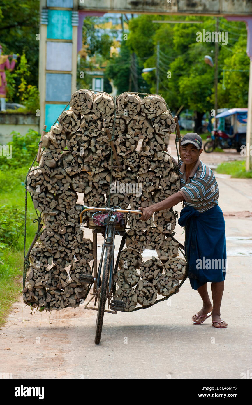 Brennholz-Transport auf dem Fahrrad, Bago, Myanmar / Birma.  August 2009 Stockfoto