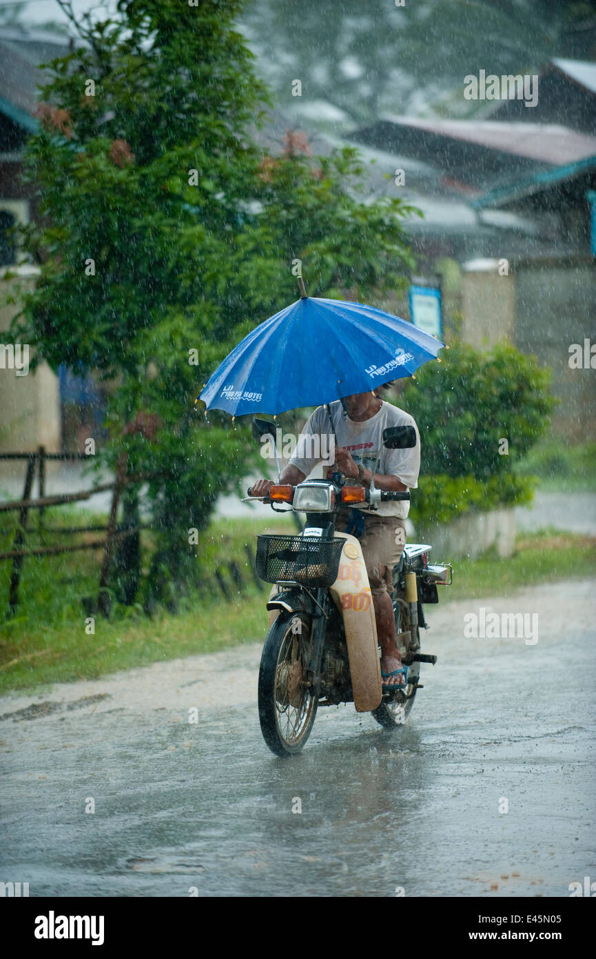 Motorradfahrer in starkem Regen Carryaing Regenschirm, Nyaungshwe, Shan State in Myanmar Burma August 2009 Stockfoto