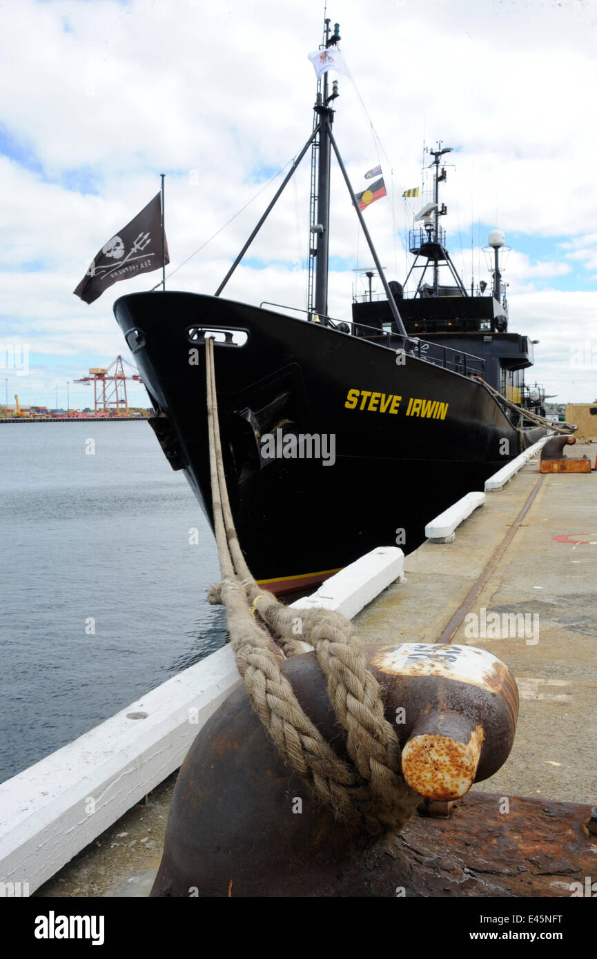 Sea Shepherd Schiff "Steve Irwin" in Freemantle Hafen, Perth, Western Australia, Vorbereitung für eine Reise in die Antarktis, japanische Walfang-Schiffe abzufangen. Dezember 2009 Stockfoto