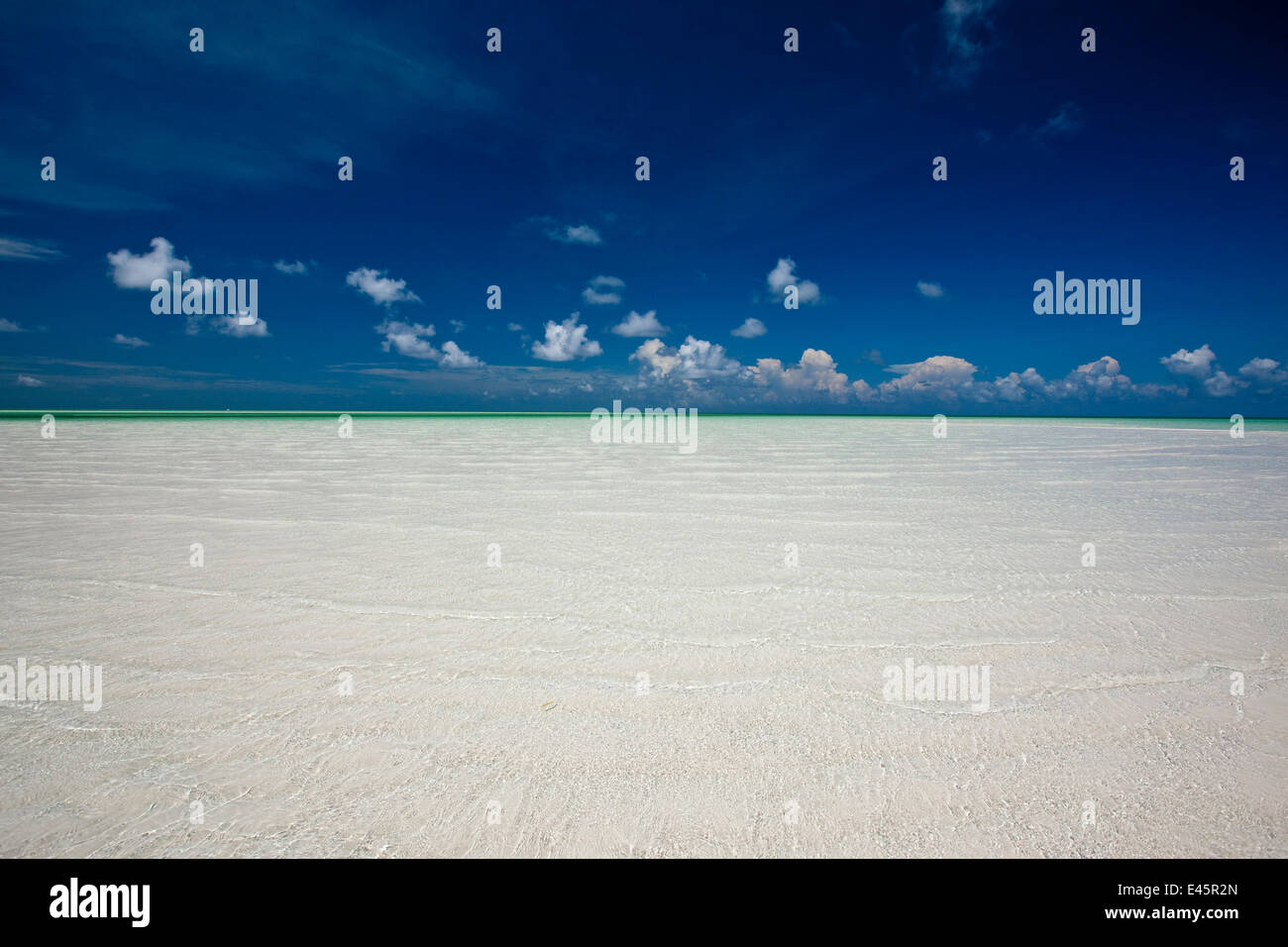 Kristallklare Untiefen unter blauem Himmel. Exumas, Bahamas, Karibik, Juni 2009. Stockfoto