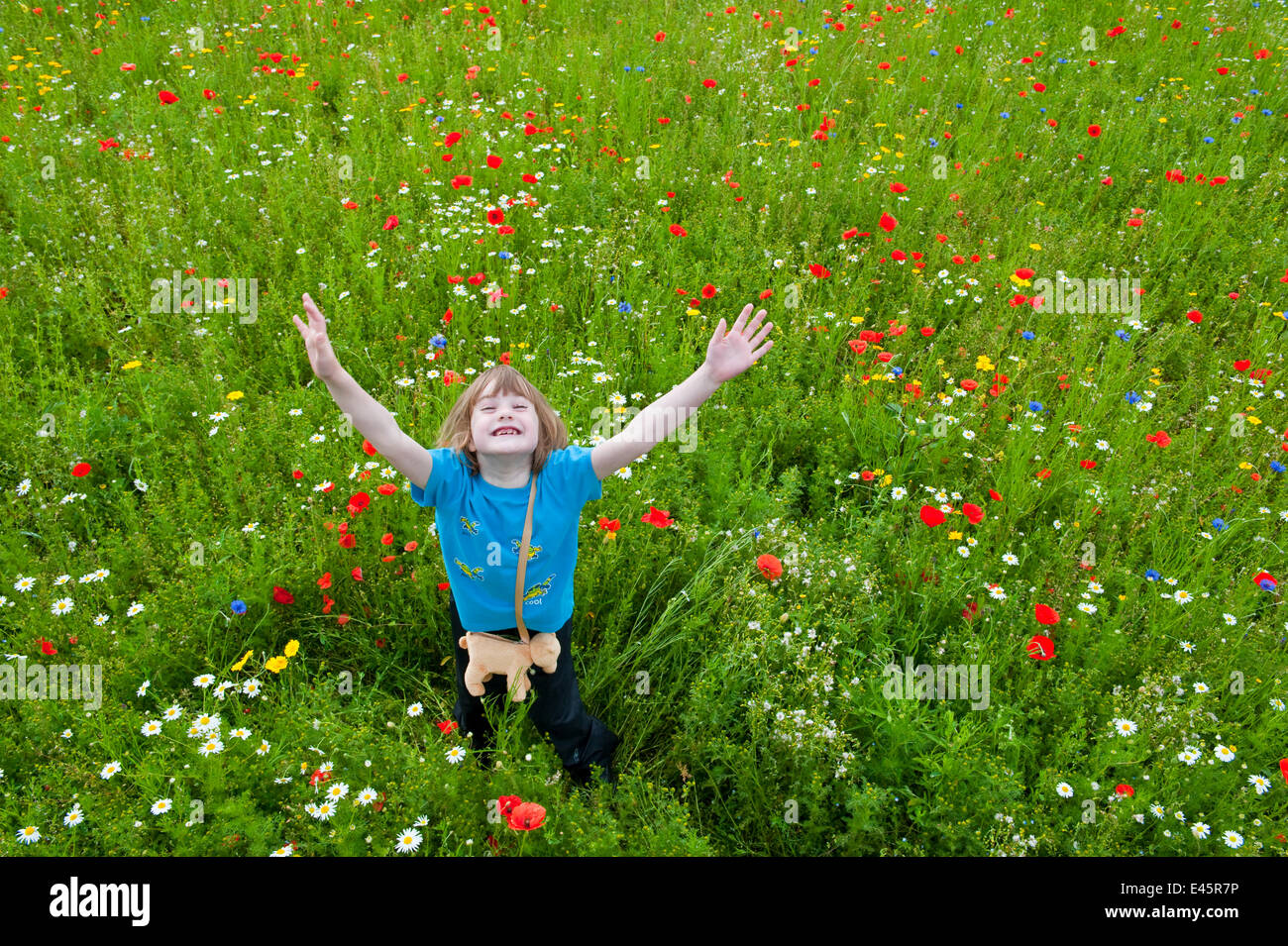 Junges Mädchen Arme in Luft, winken / spielt in einem Wildblumen Wiese, Schottland, UK, Juli 2009. Modell veröffentlicht Stockfoto