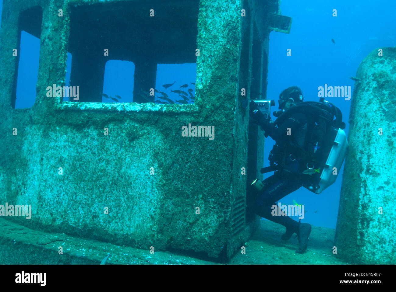 Kameramann Mike Pitts Dreharbeiten unter Wasser für die BBC-Serie "Leben" in einem versunkenen Schlepper vor der Küste der Bahamas, Karibik, Februar 2007 Stockfoto