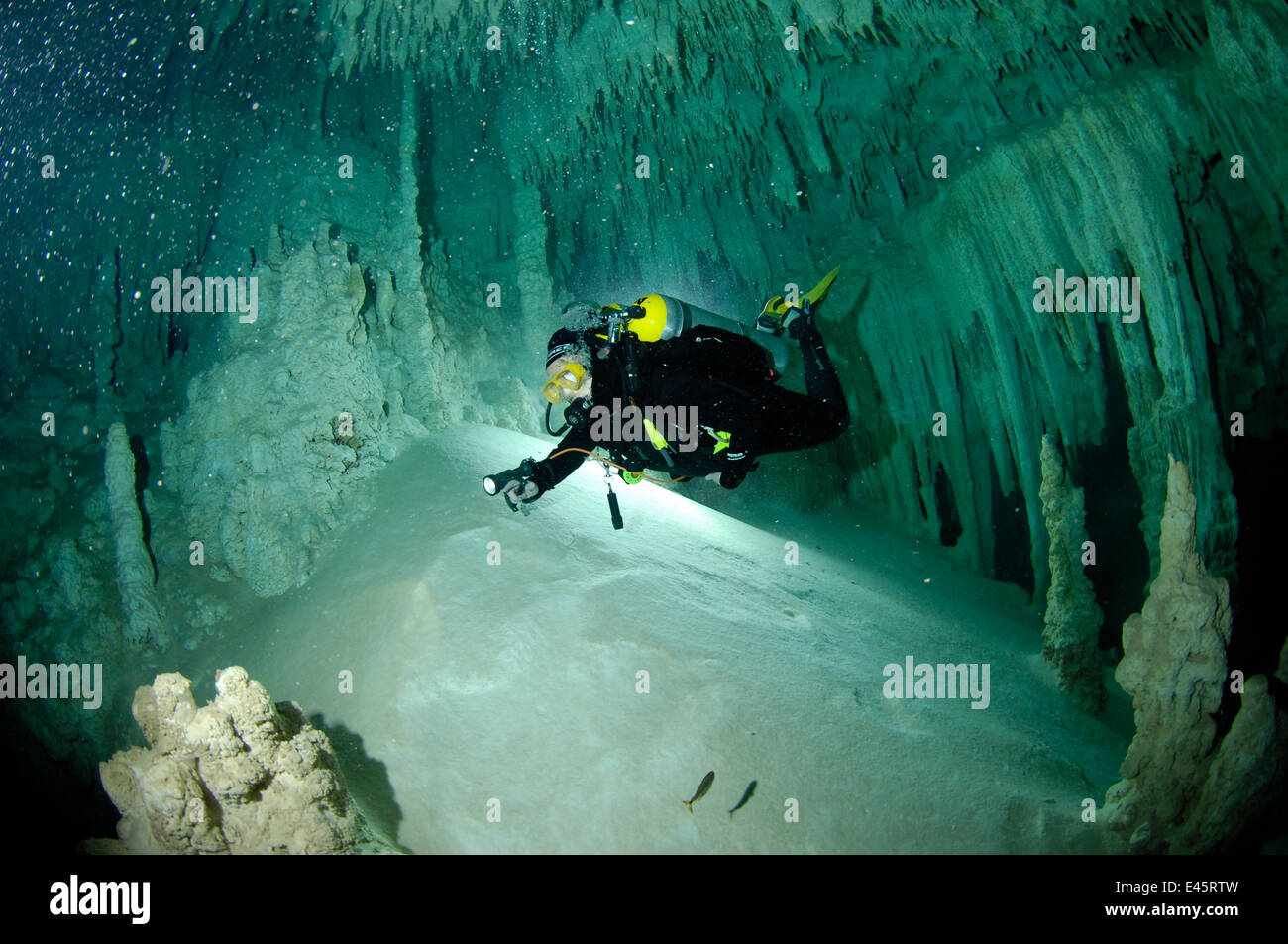 Taucher erkunden eine Süßwassersee-Kalkstein-Doline / Cenote namens "The Pit" - eine Traverse zu 'The Blue Abyss' mit Stalaktiten und Stalagmiten, Tulum, Quintana Roo, Mexiko, September 2008. -Modell veröffentlicht. Stockfoto