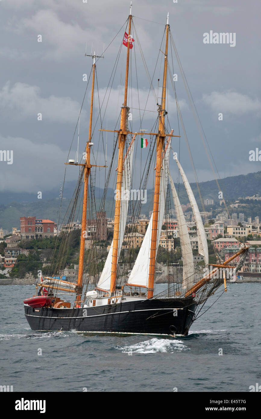 Dänische vielbetretenen Schoner "Den Store Bjoern" bei der Garibaldi Tall Ship Regatta, April 2010. Stockfoto