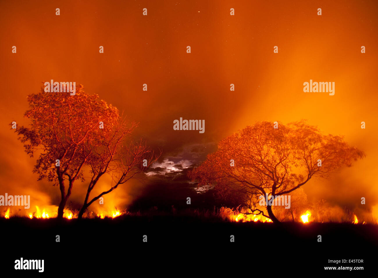 Grass-Feuer in der Nacht im Pantanal, Brasilien. Stockfoto