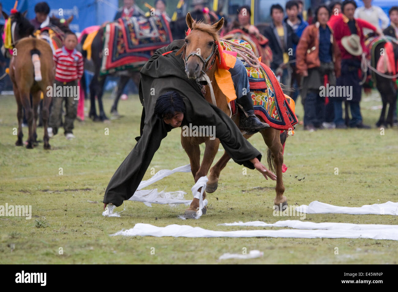 Ein Khampa Krieger, montiert auf seinem Betrieb tibetischen Pferd versucht, weiße Tücher ausgebreitet auf dem Boden, während das Pferd-Festival in der Nähe von Huangyan, in der Garze tibetischen autonomen Präfektur in der Sichuan Provinz, China, Juni 2010 Stockfoto