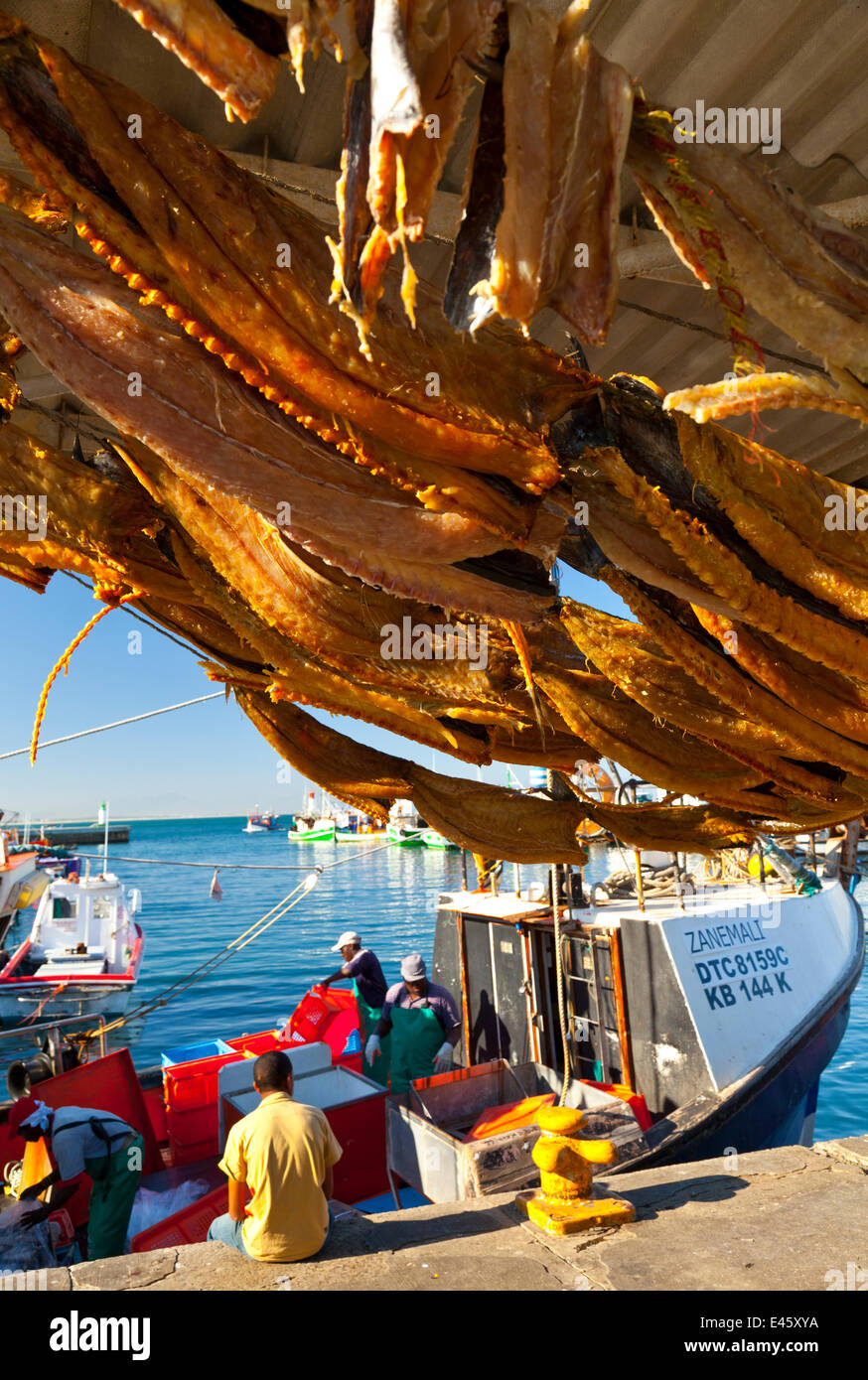 Fisch hing zum Trocknen in die Fischerei Dorf von Kalk Bay, False Bay, Südafrika Stockfoto