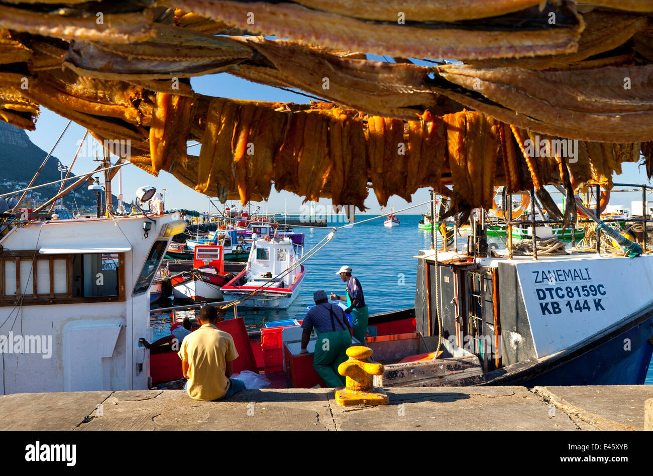 Fisch hing zum Trocknen in die Fischerei Dorf von Kalk Bay, False Bay, Südafrika, Juli 2010 Stockfoto