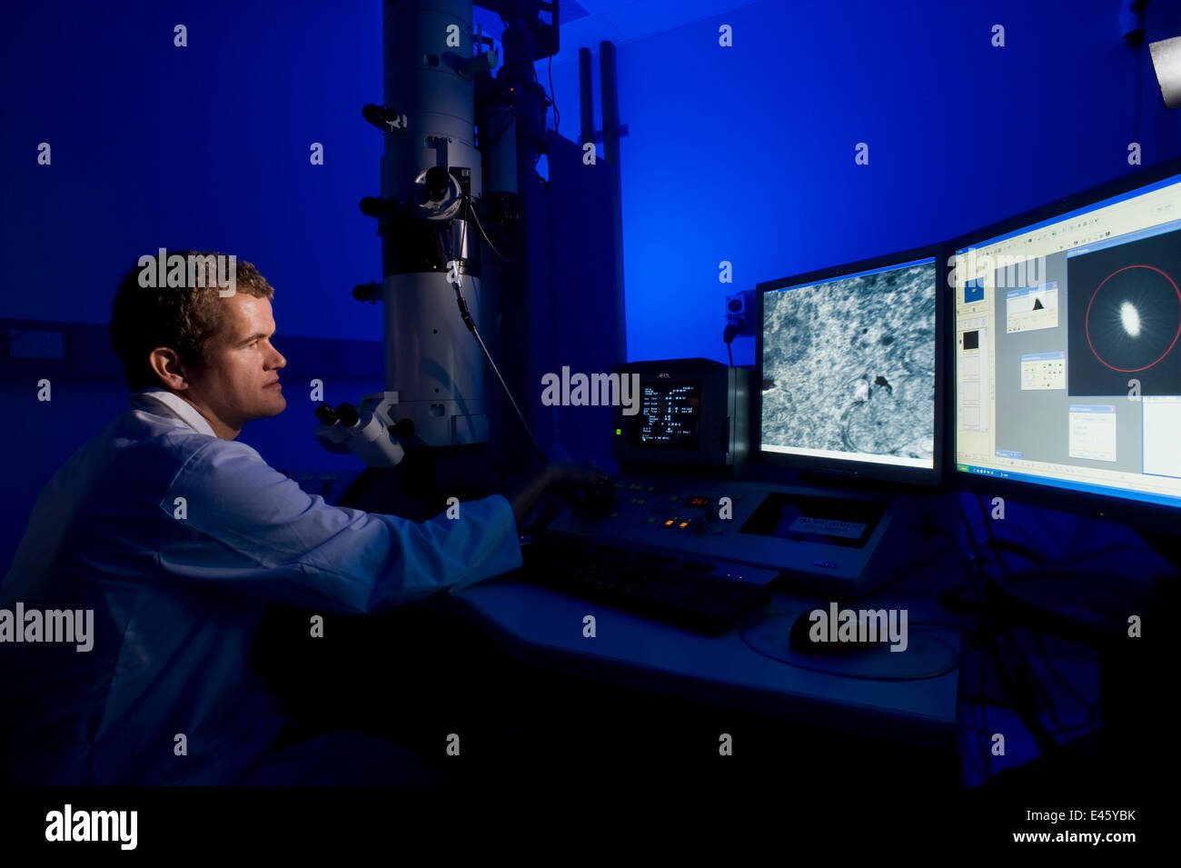 Forschers Guido Westhoff einen Querschnitt der Grube Organgewebe aus einem Coastal Teppich Python (Morelia Spilota Mcdowelli) durch ein Elektronenmikroskop mit 20.000 X Vergrößerung betrachten. Grube Organe ermöglichen Schlangen Sinn Infrarot-Strahlung. Queensland, Stockfoto