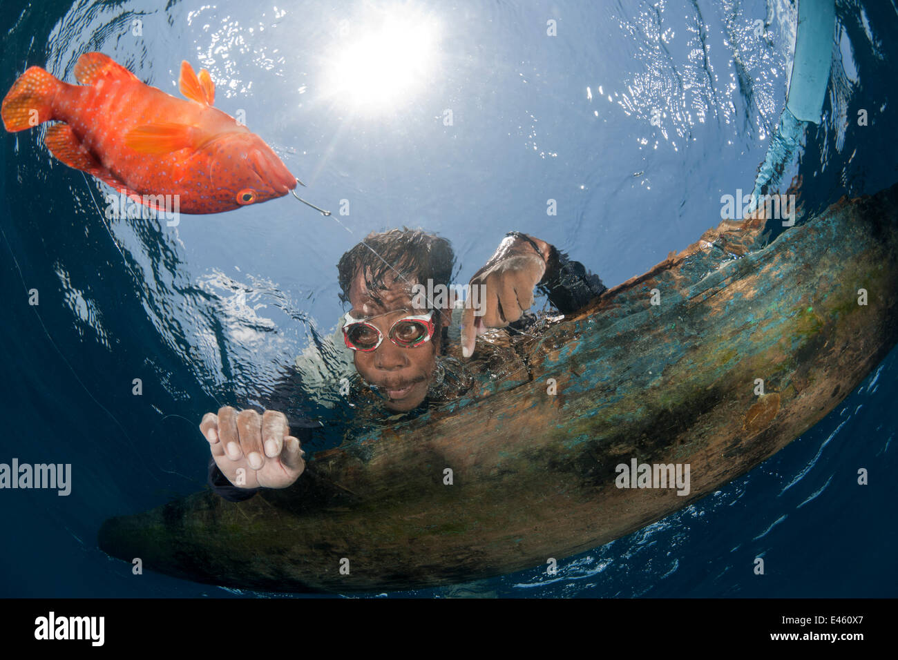 Haken und Linie Fischer im Einbaum und selbst gemacht Brille Fang ein Korallen Zackenbarsch für den Anbau auf im Käfig für die Live Reef Fischhandel Wakatobi, Süd-Sulawesi, Indonesien Stockfoto