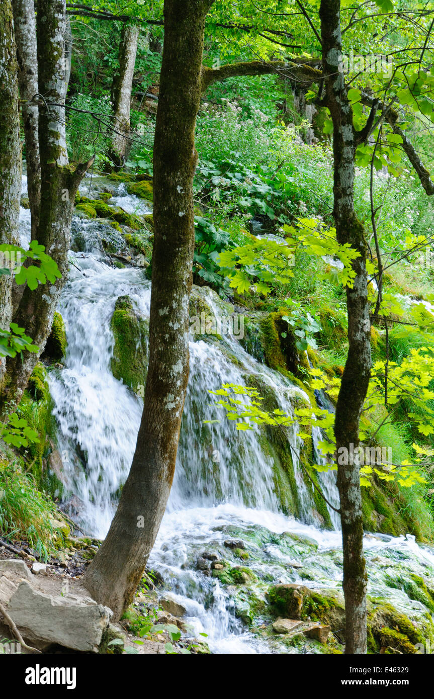 Nationalpark Plitvicer Seen, Kroatien Stockfoto