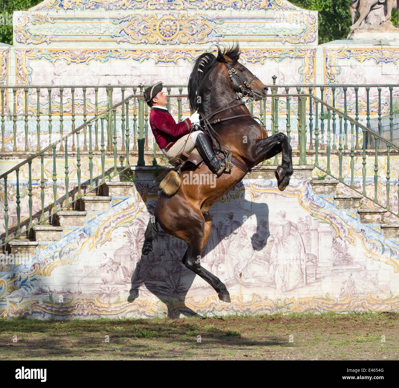 Lusitano Pferd, Mensch Ausbildung Hengst in Dressur Schritten, auf den Hinterbeinen stehend und dann springen in der Luft, königlichen Reitschule, Lissabon, Portugal, Mai 2011, Modell veröffentlicht Stockfoto