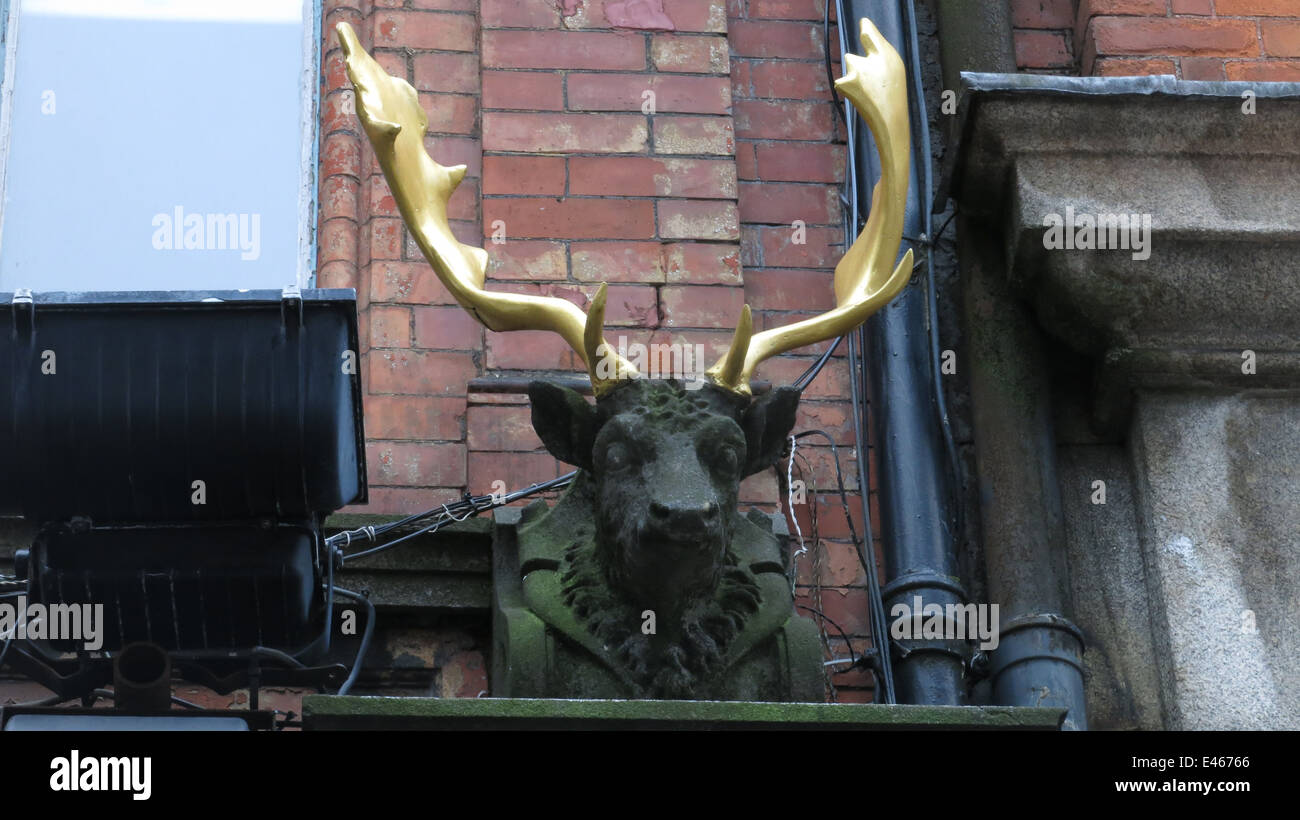 Eine Büste eines Hirsches. Bild von der Vorproduktion von einem auf der Straße für viktorianische Horror tv-Serie "Penny Dreadful" gesetzt. Stockfoto