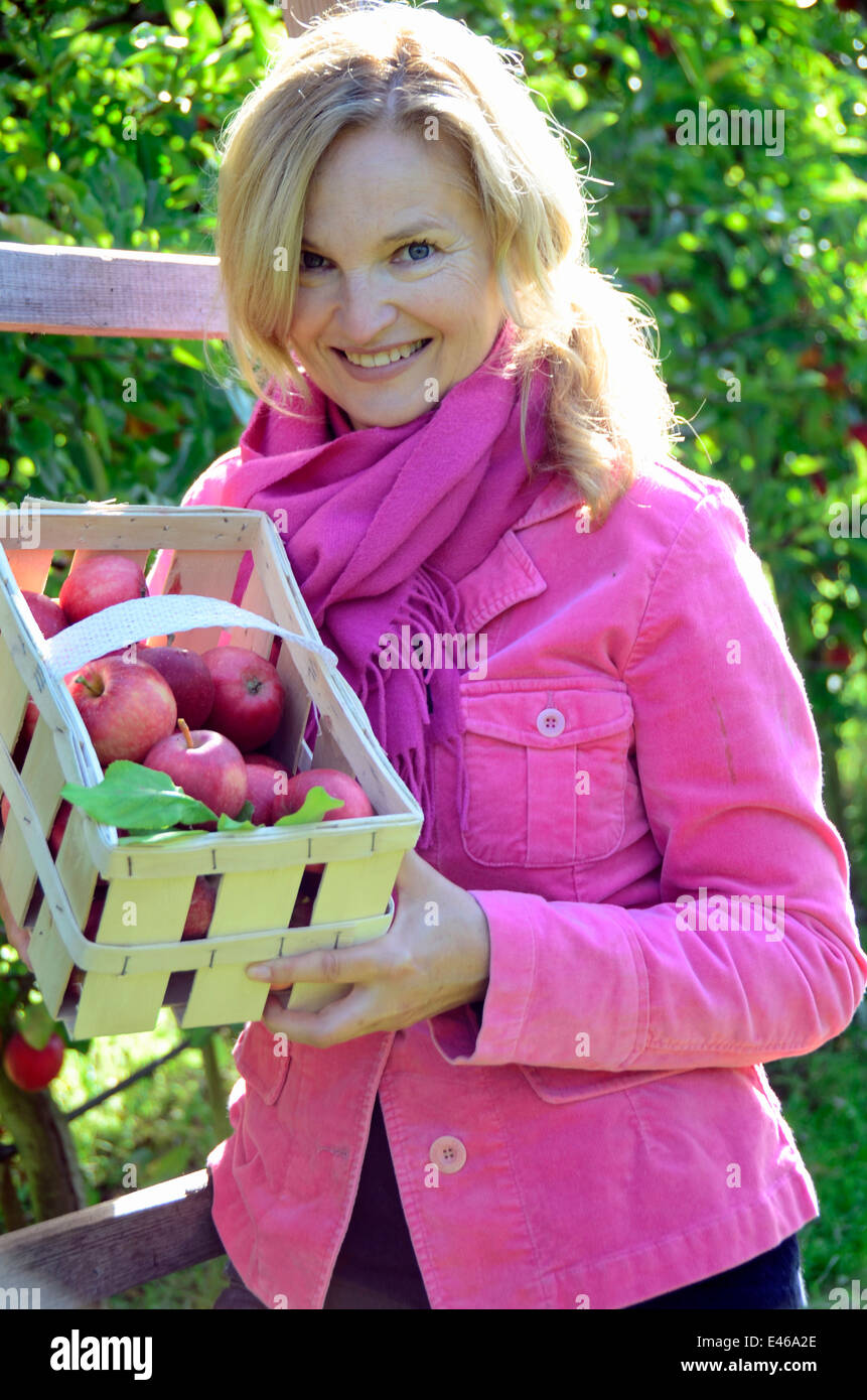 Frau pflücken Äpfel Deutschland Brandenburg Werder/Havel Stockfoto