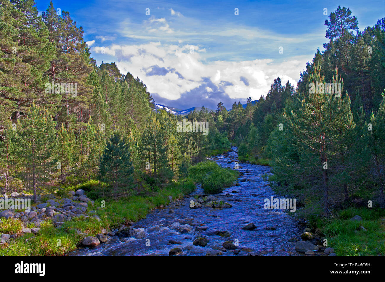 Die Allt Mor-Stream in Glenmore Forest Park die Cairngorm Plateau sichtbar hinter sich, in der Nähe von Aviemore, Schottisches Hochland, Schottland, Vereinigtes Königreich Stockfoto