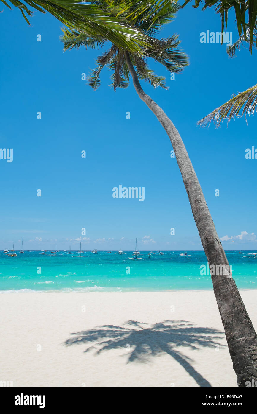 Tropical White Sand Beach mit Kokospalmen, Insel Boracay, Philippinen Stockfoto