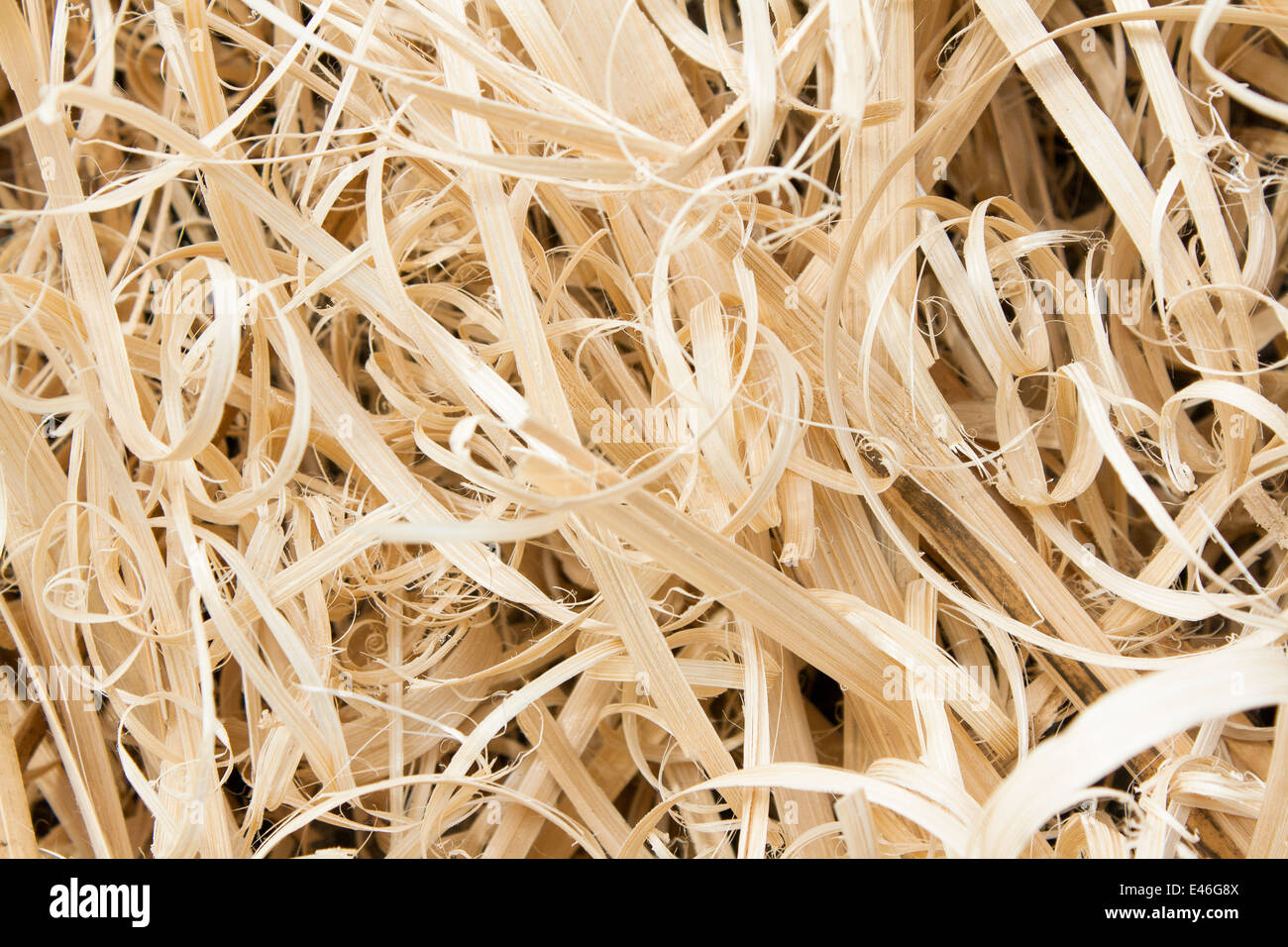Bambus-Schrotte Stockfoto