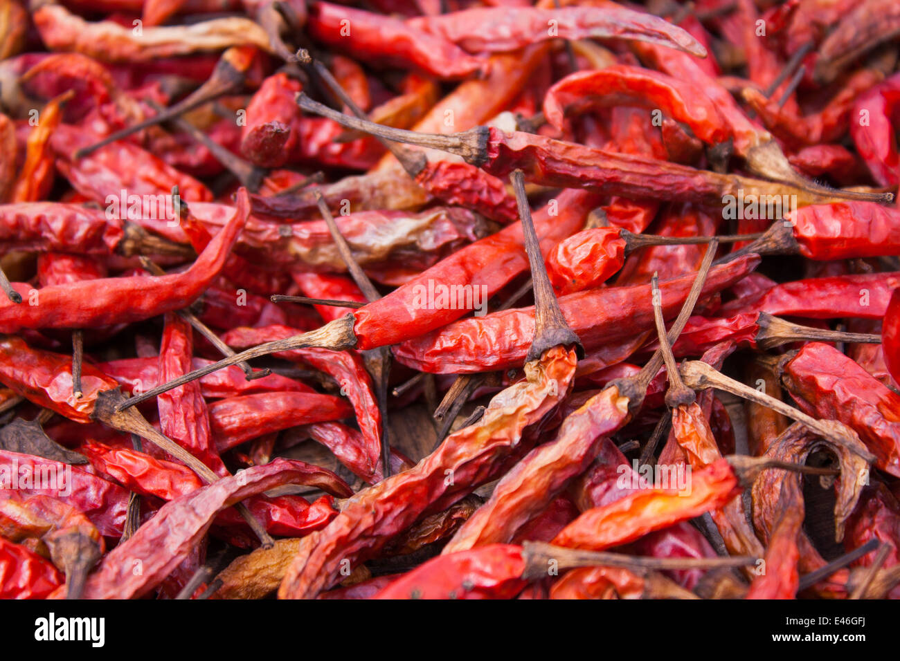 getrocknete Paprika, Pfeffer ist das am besten würzigen Gemüse Stockfoto