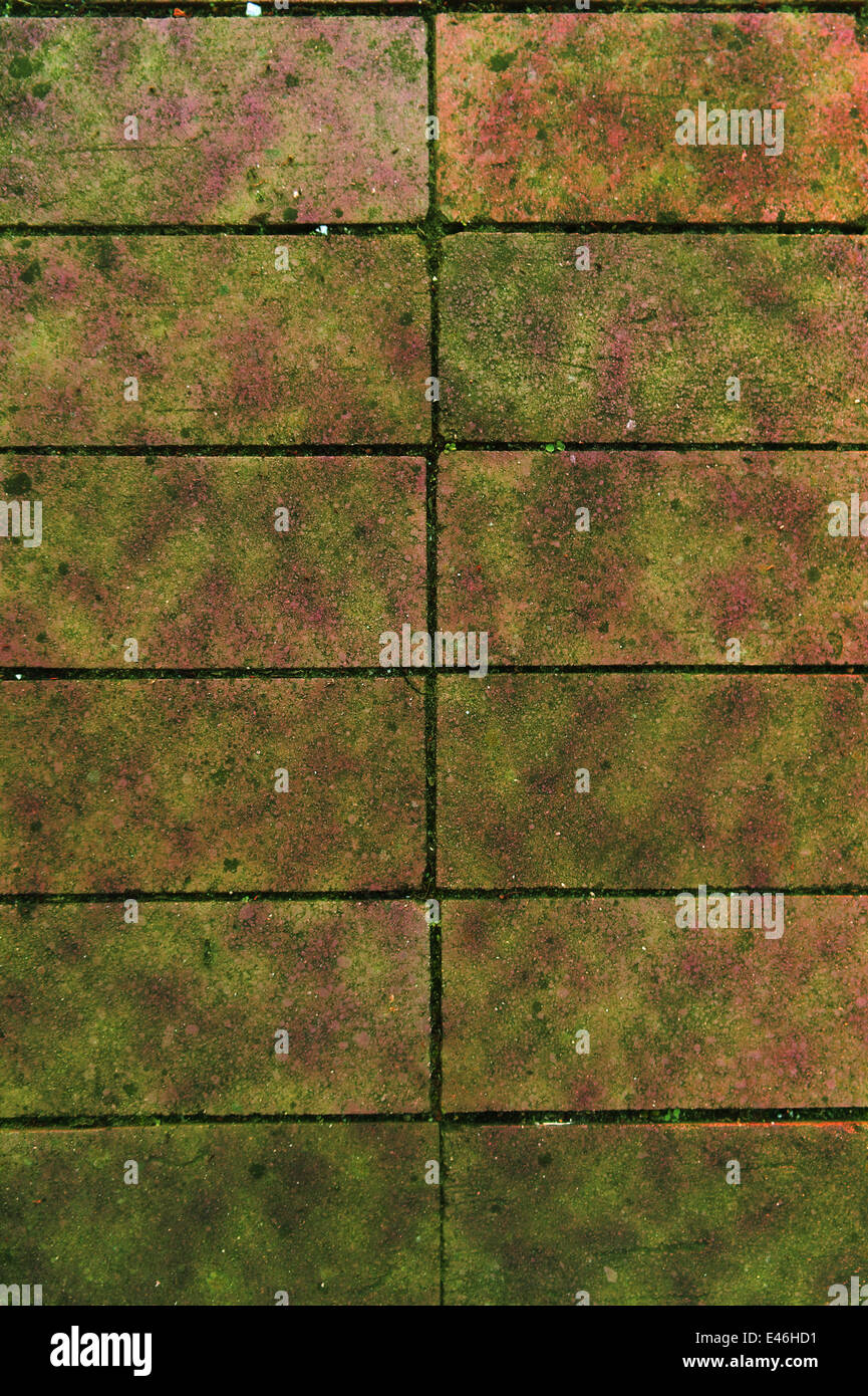 alten verschimmelt sett Stockfoto