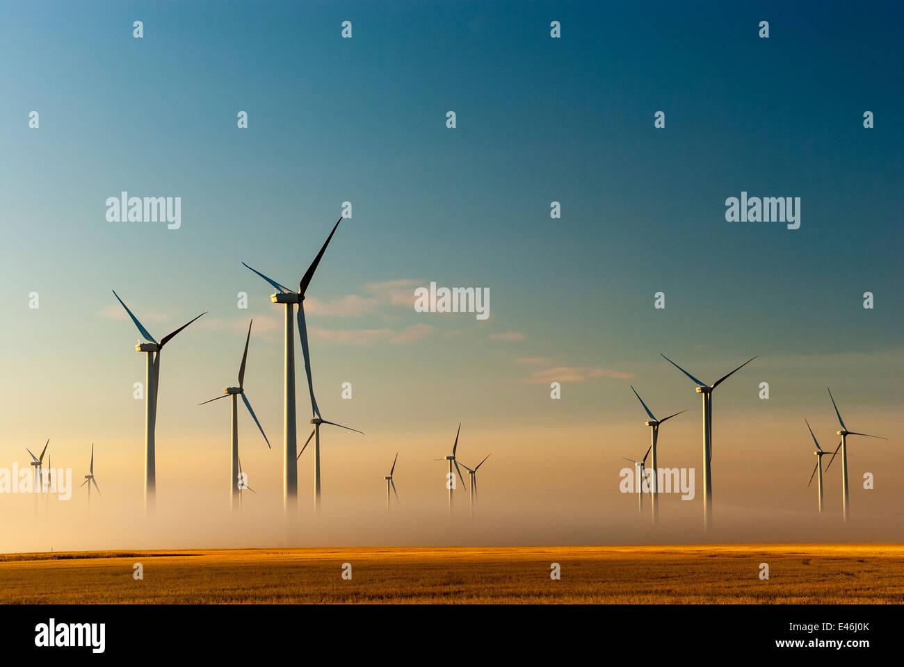 Windkraftanlagen in der Morgendämmerung mit steigenden Morgennebel, Judith Gap, Montana, USA Stockfoto