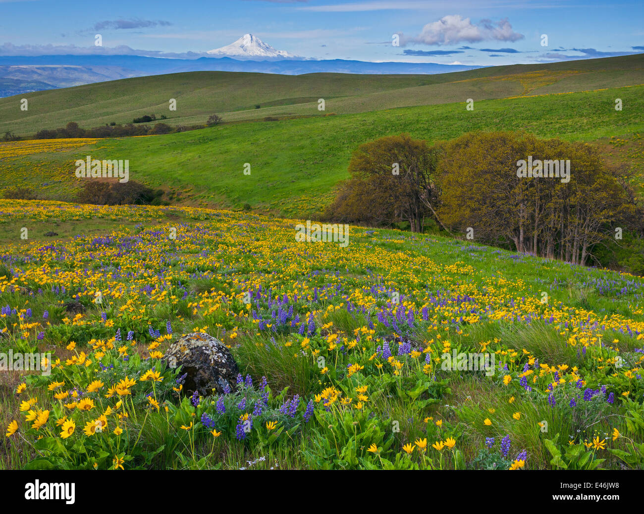 Columbia Hills State Park, WA Columbia National Scenic Area