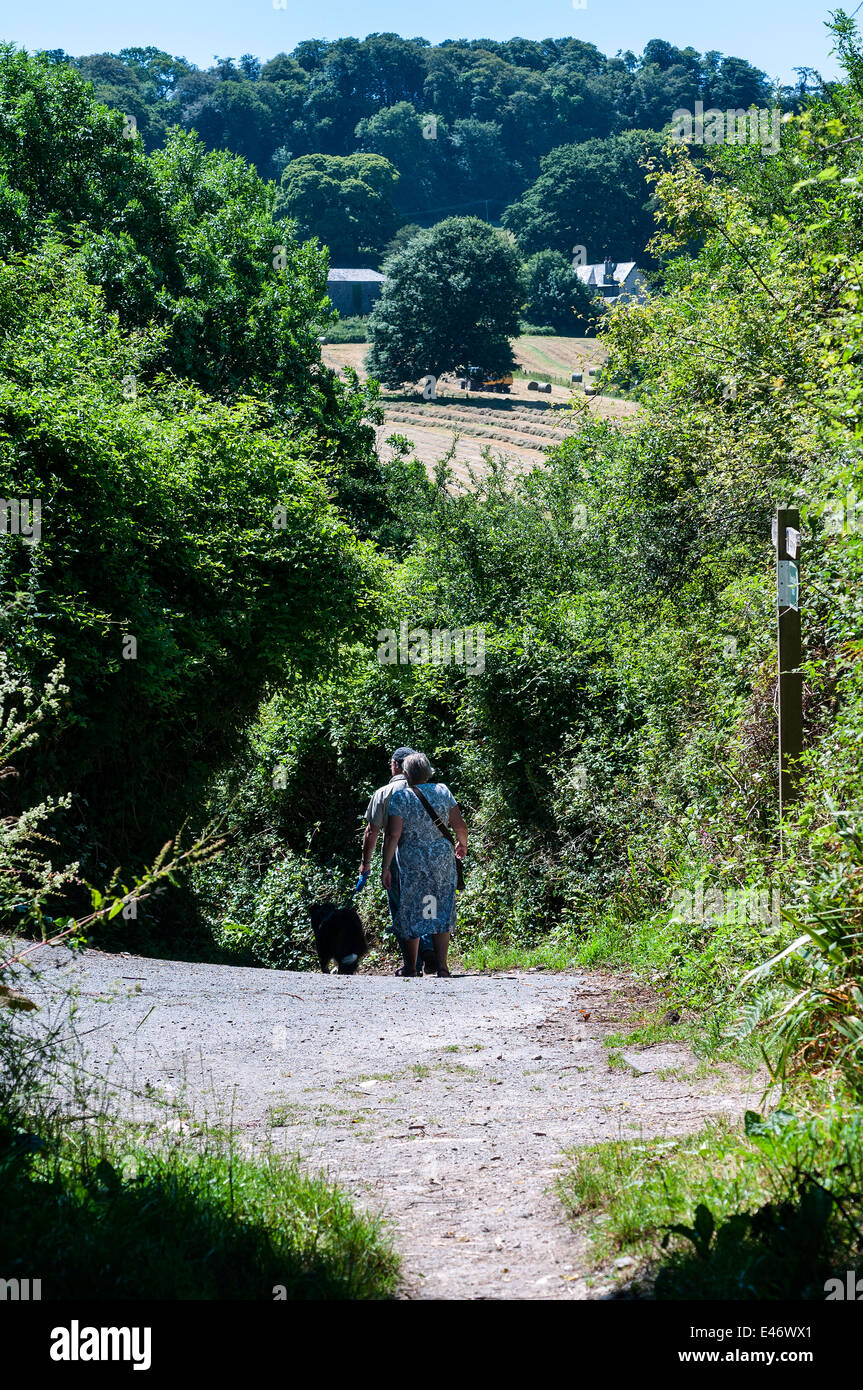 alte grüne Strecke, Blick von der Süd-West Küste entlang in Richtung Agatha Christies Haus Greenway in der Nähe von Dittisham aus ga Stockfoto