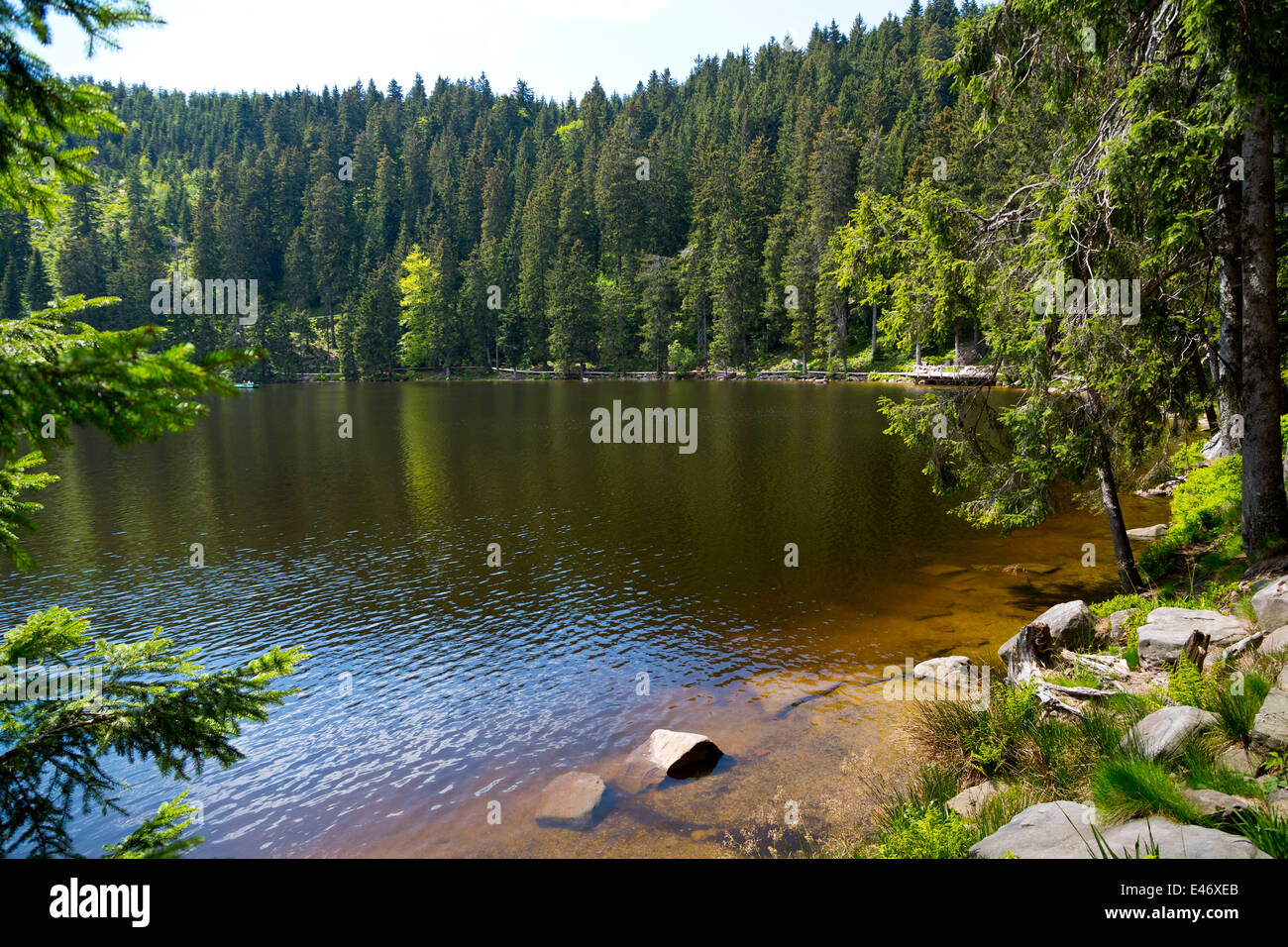 Blick über den See Mummelsee im Schwarzwald, Deutschland Stockfoto