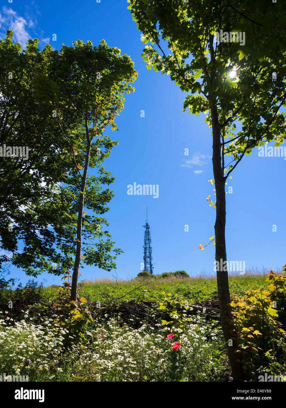 Whitehawk Sendestation auf Whitehawk Hill, Brighton, East Sussex, England, UK Stockfoto