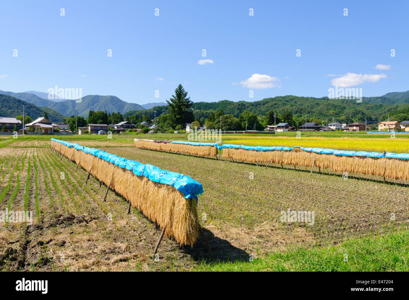 Landschaft von Achi Dorf im südlichen Nagano, Japan Stockfoto