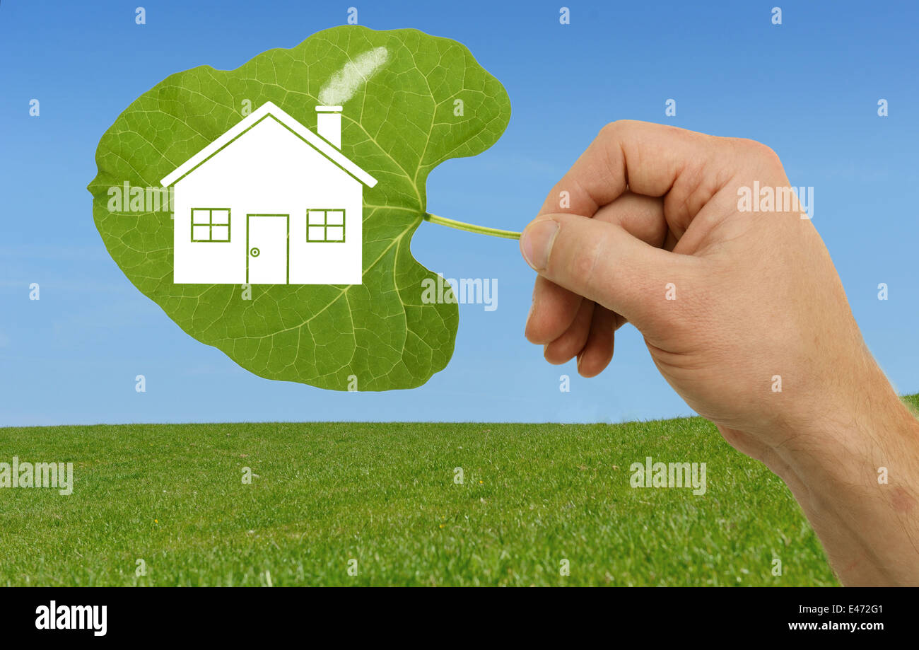 Hand hält ein Blatt mit einem Haus-Symbol auf einer neuen Entwicklungswebsite Stockfoto