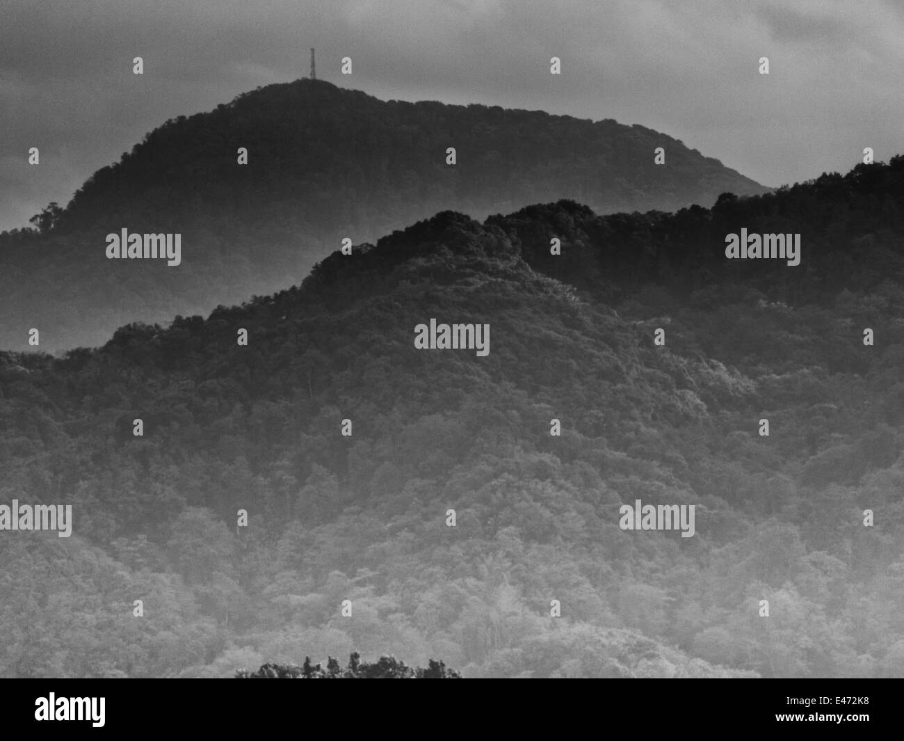 Am frühen Morgen Szene kurz nach Sonnenaufgang in das Naturschutzgebiet in der Nähe von Jalousie, St lucia Stockfoto