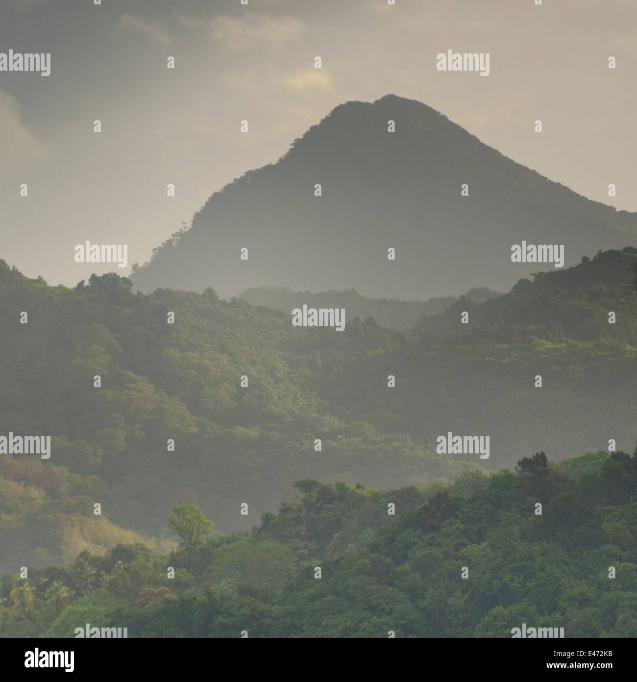 Am frühen Morgen Szene kurz nach Sonnenaufgang in das Naturschutzgebiet in der Nähe von Jalousie, St lucia Stockfoto