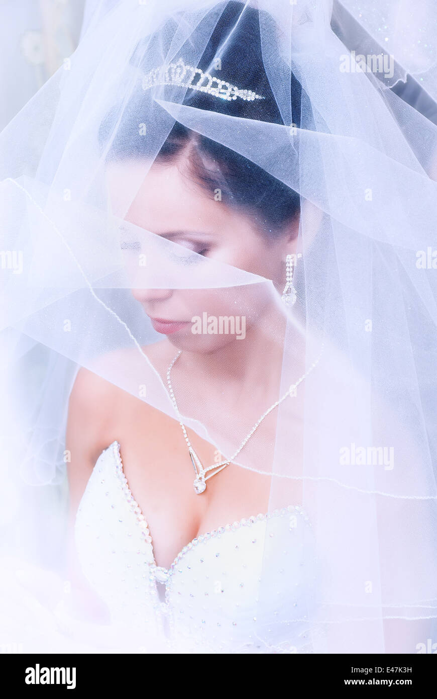 Schöne europäische Braut mit dem Schleier Stockfoto