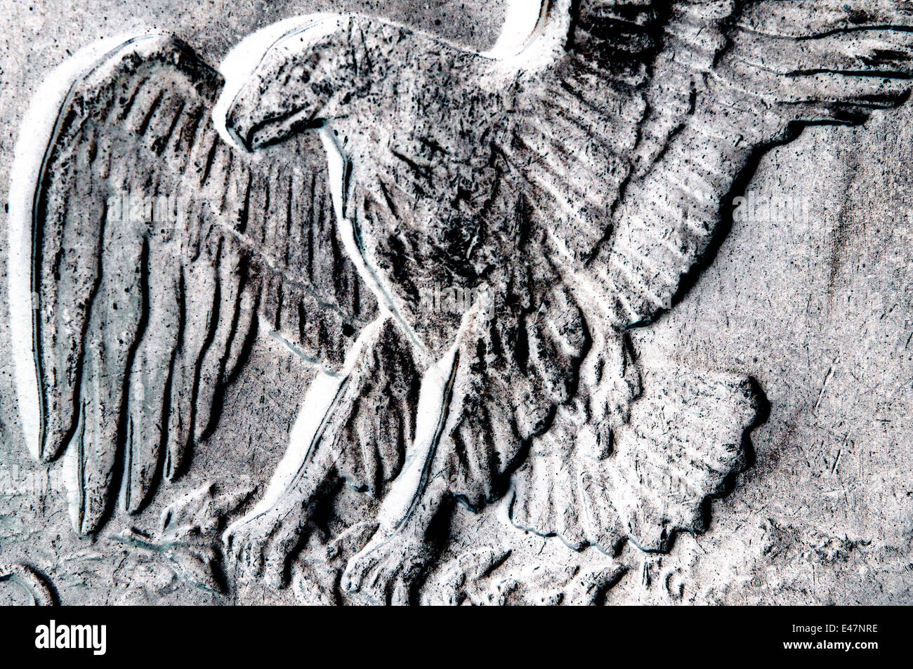 Amerikanischen Eisenhower-Dollar Münze Eagle in Studioumgebung Stockfoto