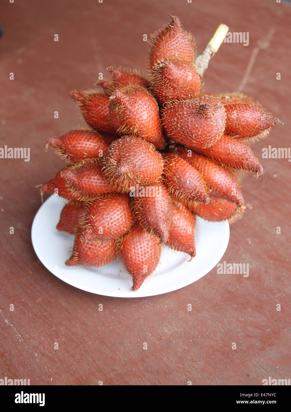 Frische Salacca Edulis Salak Palmenfrucht in Schale auf der Lebensmittel-Tabelle. Stockfoto