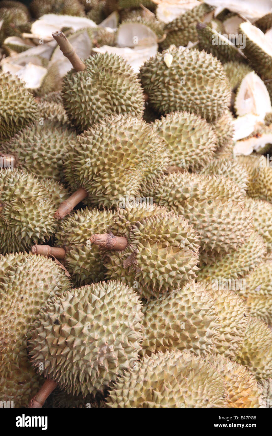 Frische Durian Frucht für Lebensmittel Hintergrund. Stockfoto