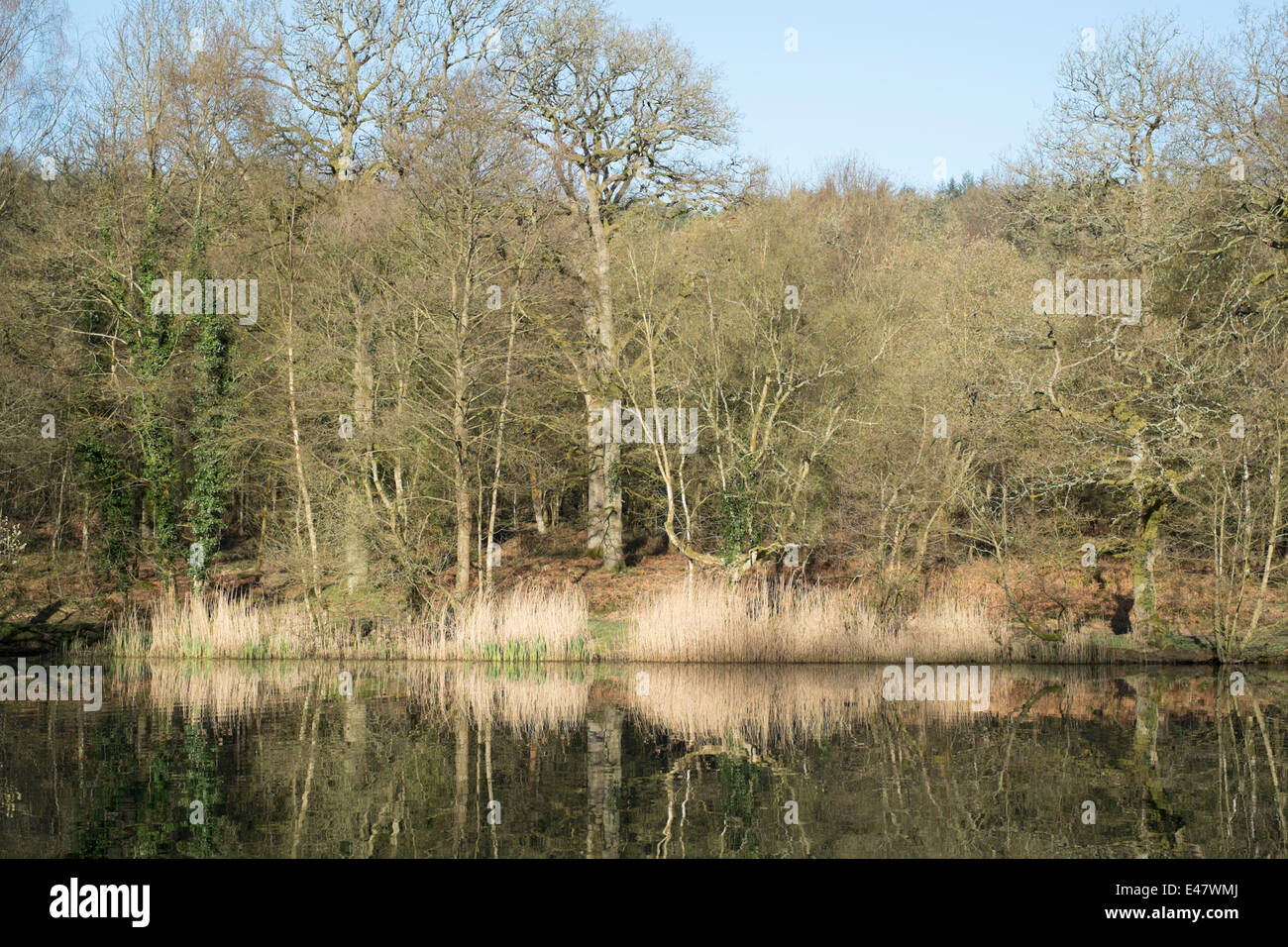 Seen und teiche Fotos und Bildmaterial in hoher Auflösung Alamy