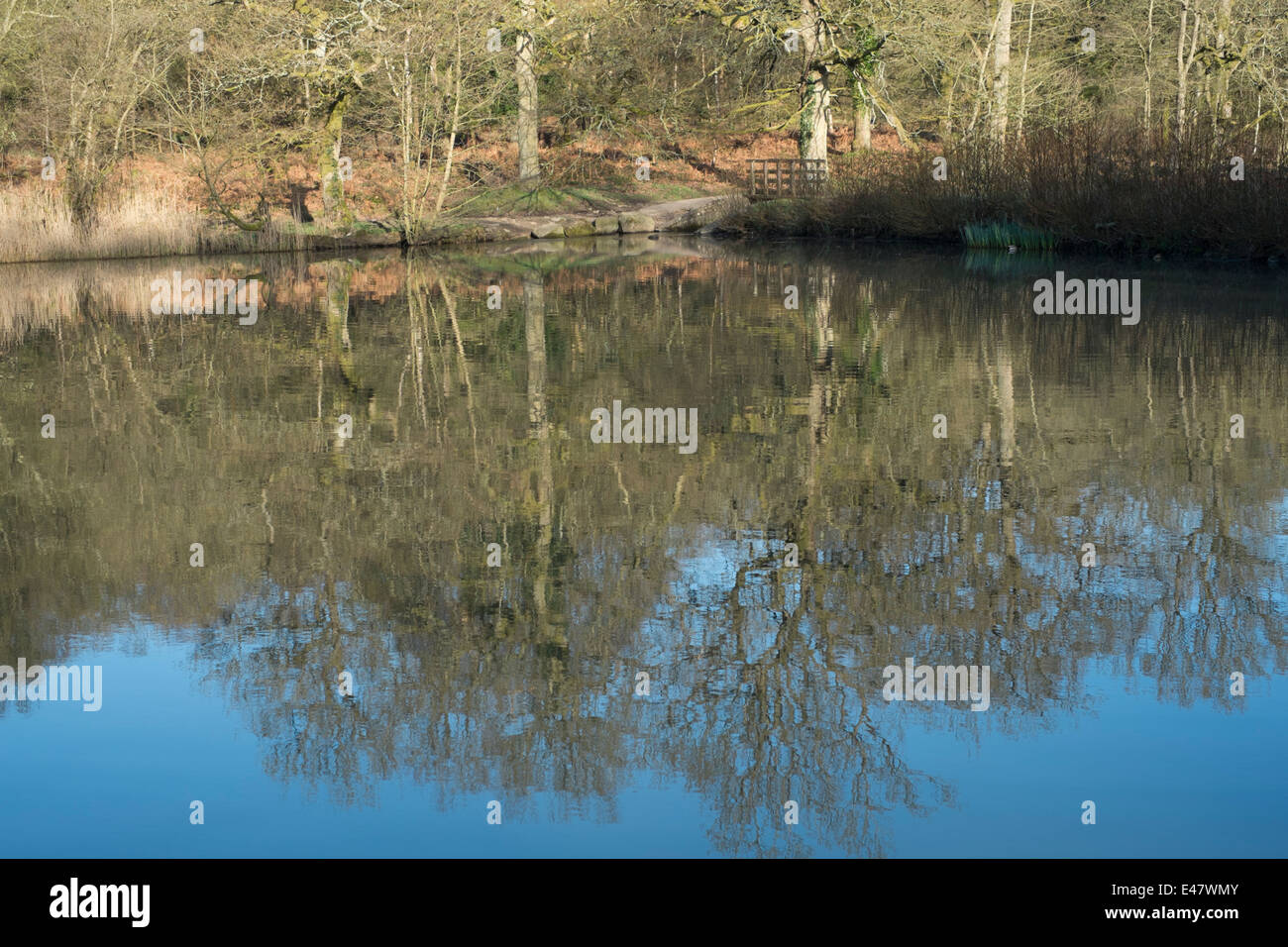 Seen und teiche Fotos und Bildmaterial in hoher Auflösung Alamy