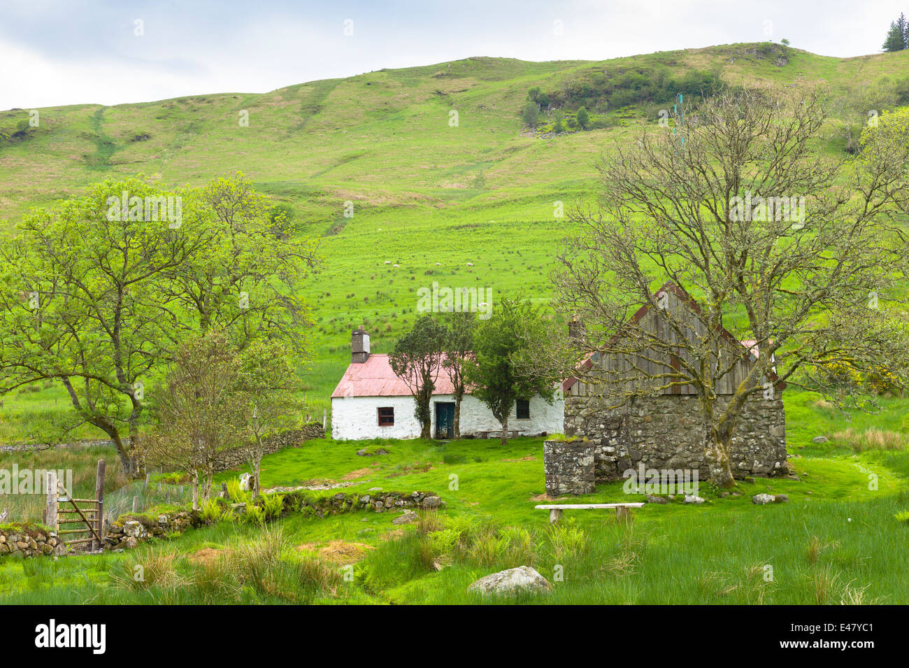 Alten Bauernhof Hütte im Auchindrain Croft Siedlungs- und Dorf Folkloremuseum in Ofen, Inveraray in den Highlands von Schottland Stockfoto