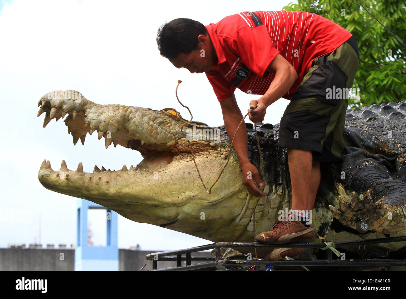 Pasay City, Philippinen. 5. Juli 2014. Ein Arbeiter entlädt "Longlong", ein 21-Fuß-Roboter-Krokodil von einem LKW im Crocodile Park in Pasay City, Philippinen, 5. Juli 2014. Die Roboter-Krokodil, kostet rund 80.000 Pesos oder 1.818 US-Dollar, ist inspiriert von einer riesigen Salzwasserkrokodil, das längste Krokodil auf der Erde, die im Süden der Philippinen im Jahr 2013 in der Gefangenschaft gestorben. Bildnachweis: Rouelle Umali/Xinhua/Alamy Live-Nachrichten Stockfoto