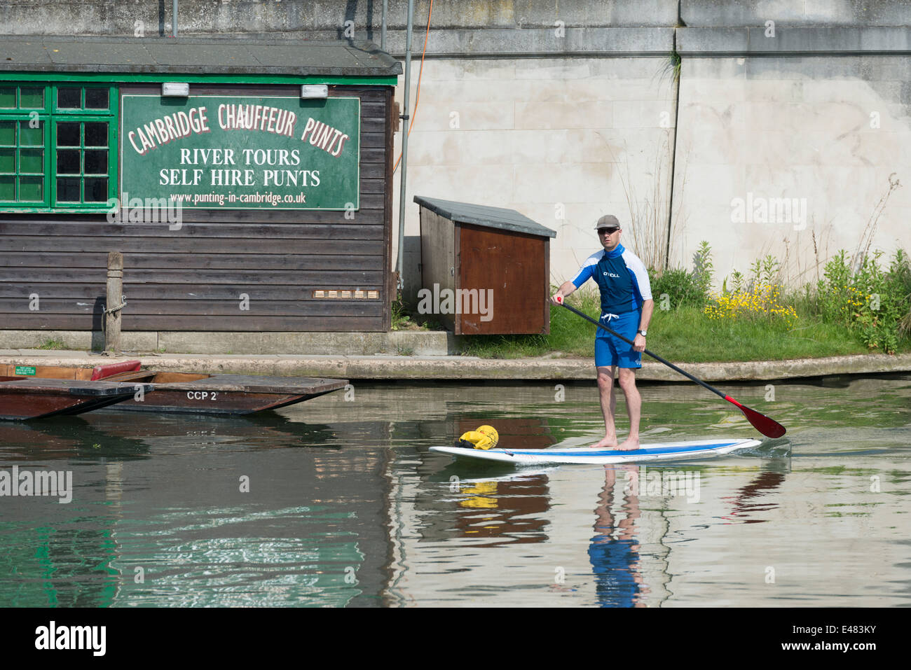 Ein Mann-Paddling auf dem Fluss Cam Cambridge UK Stockfoto