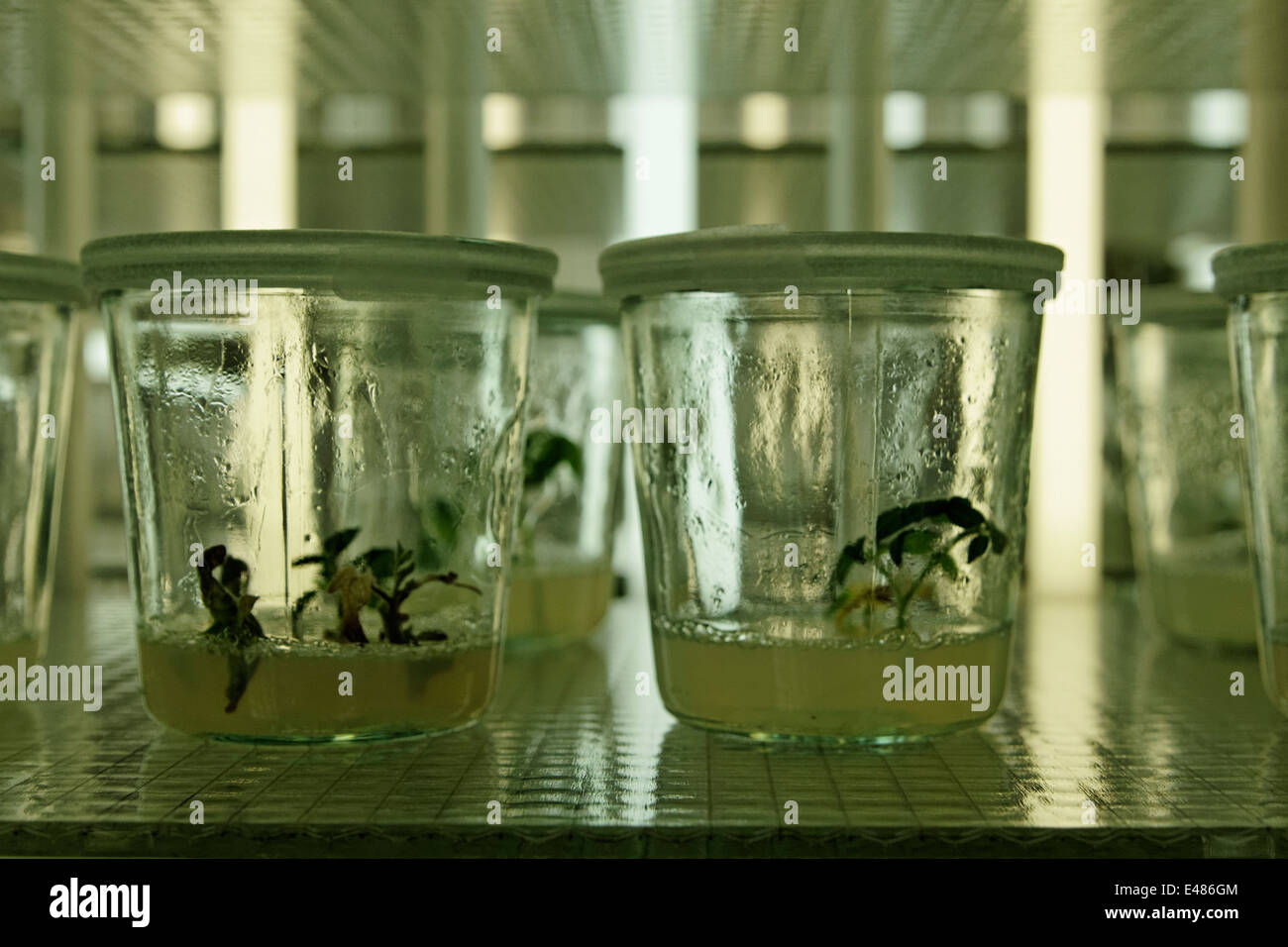 Max planck institute Fotos und Bildmaterial in hoher Auflösung Alamy