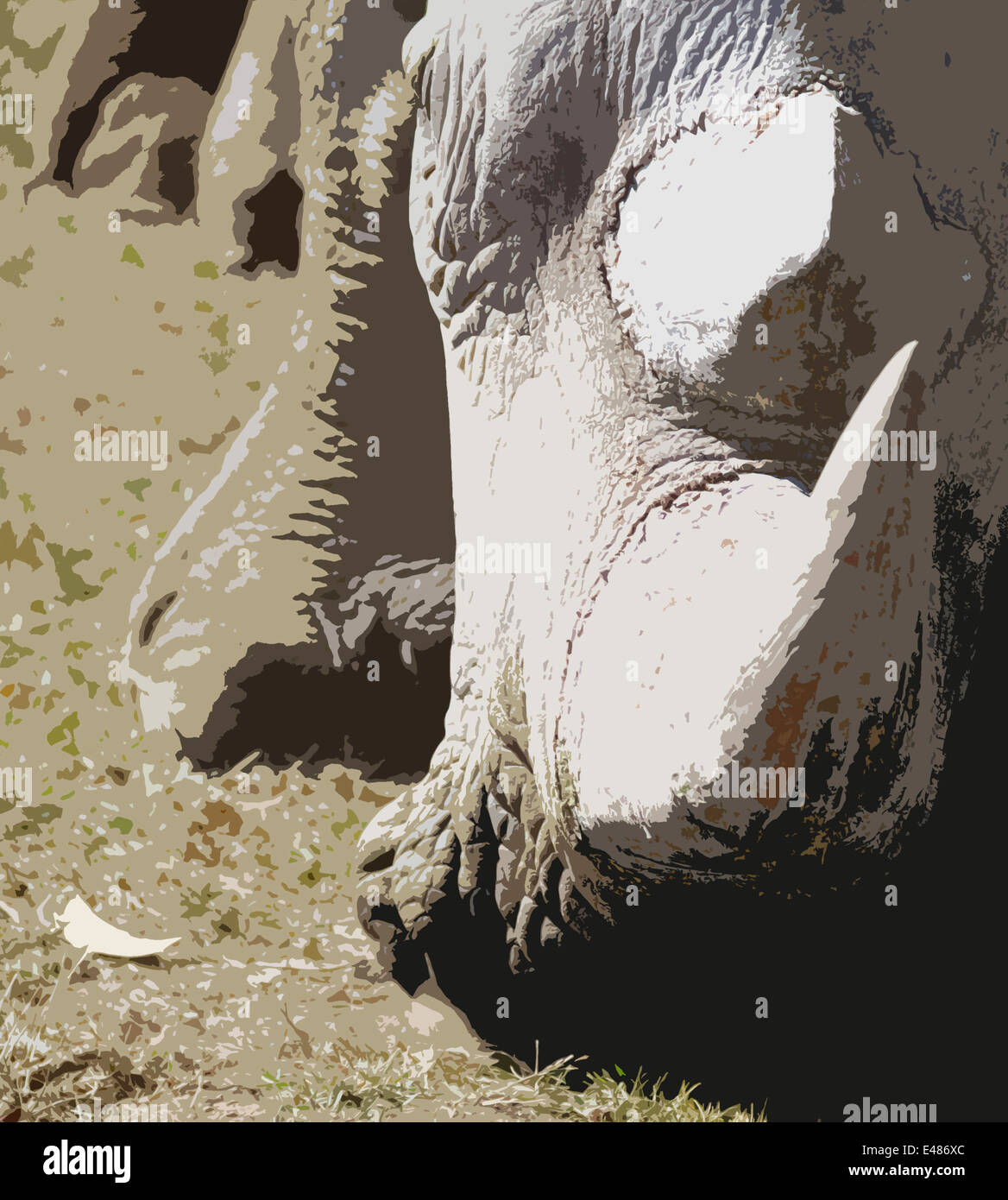 Ein künstlerisches Bild eines weißen Nashorns mit einem scharfen Horn, der wie es aussieht wird sich erheben. Den Kopf auf den Boden, Staub Stockfoto