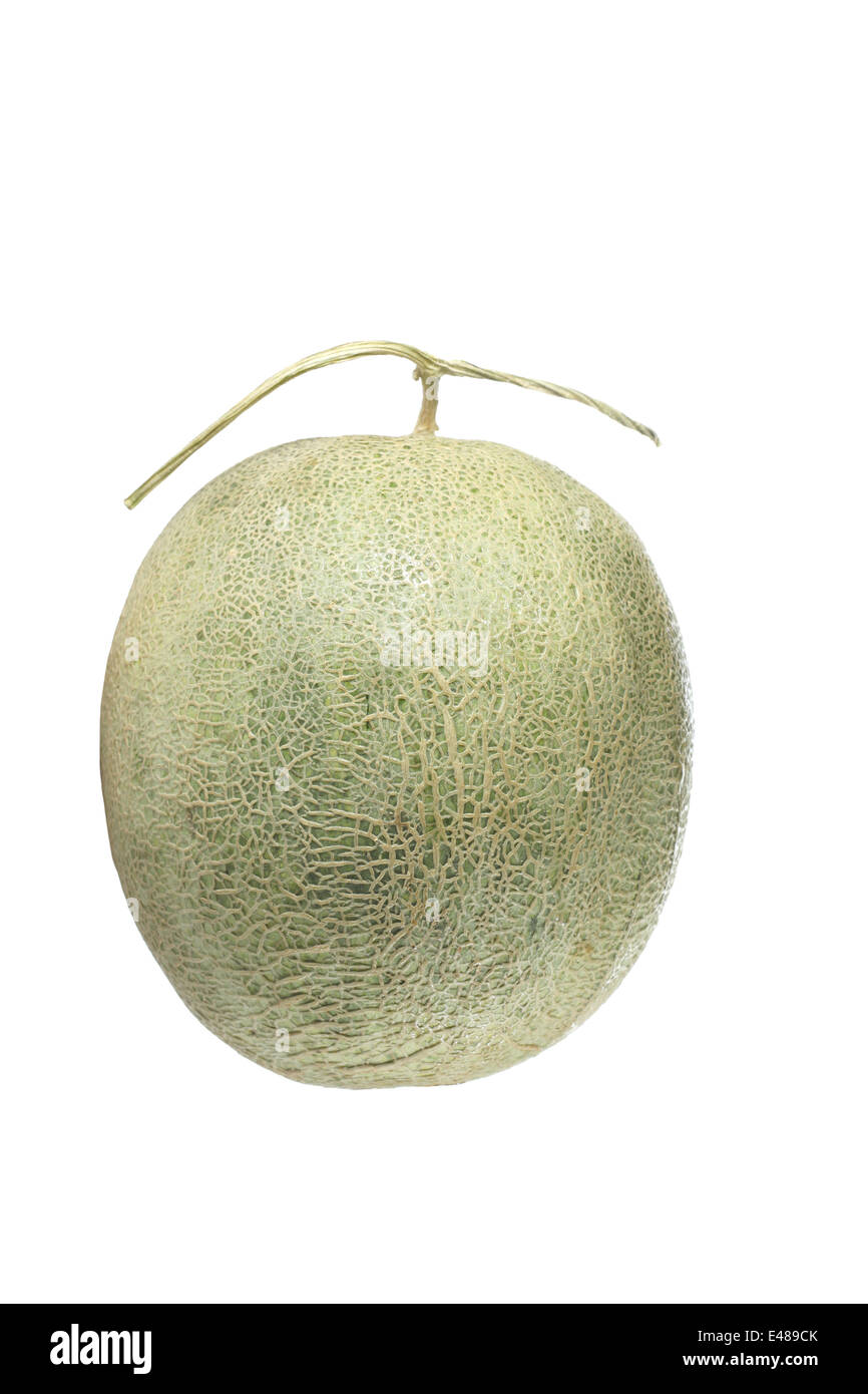 Frisches Obst Melone isoliert auf weißem Hintergrund. Stockfoto