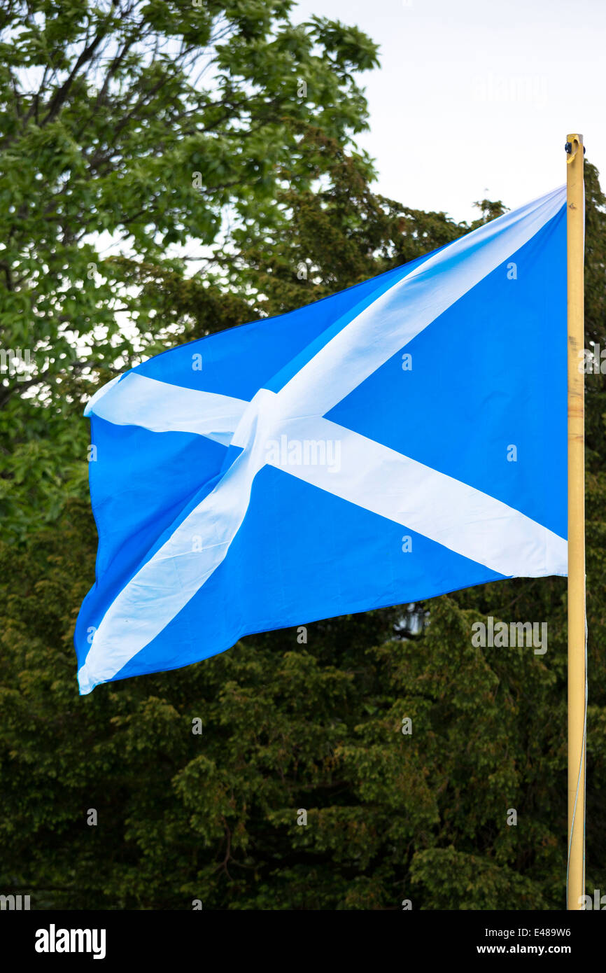 Saltire Flagge von St. Andrew fliegen vom Fahnenmast als schottisches Referendum Unabhängigkeit Kampagne fordert, dass Wähler ja für Schottland Stockfoto