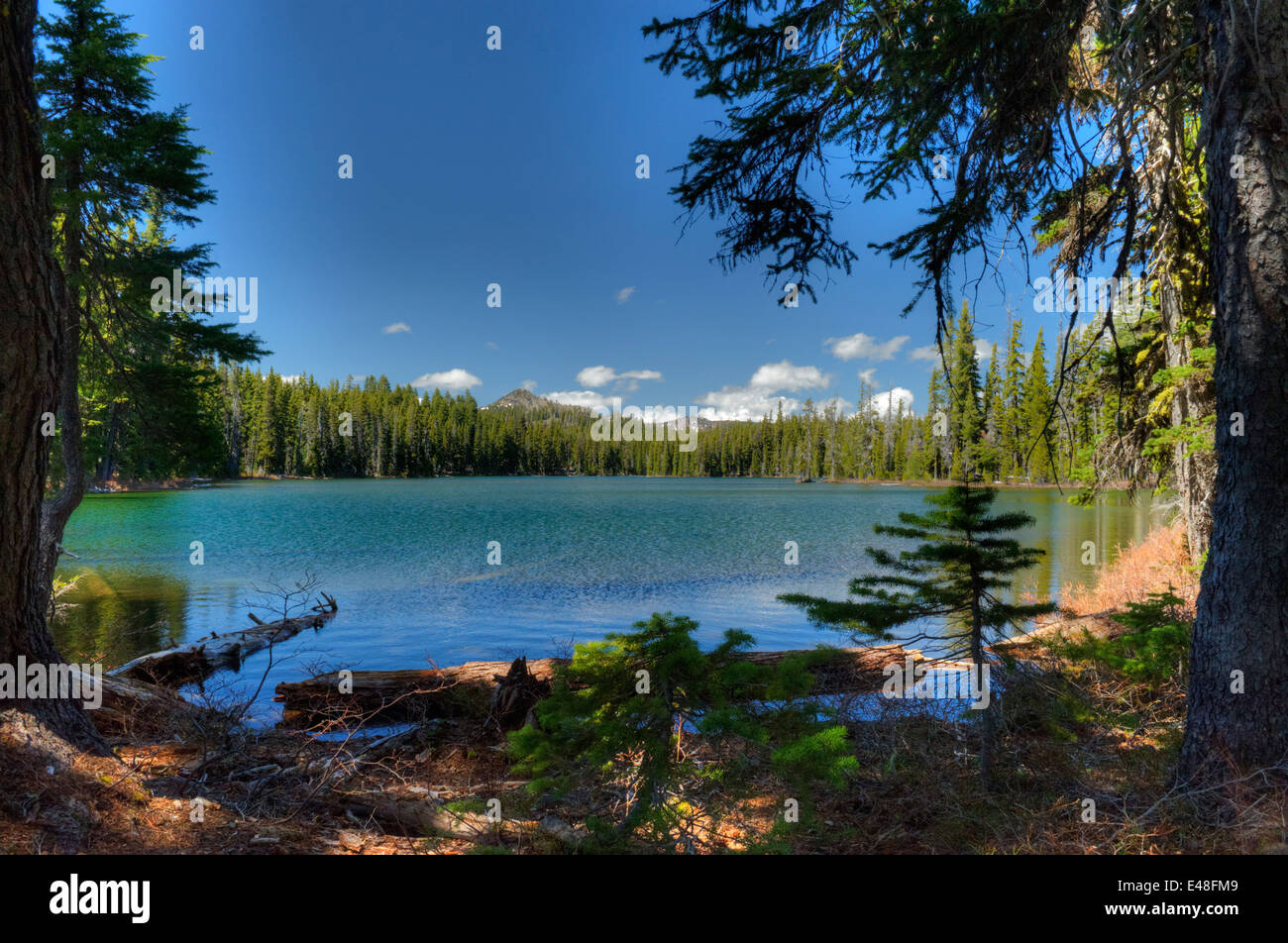 Eines der himmlischen Twin Lakes (eine zum Norden) in Oregon Sky Lakes Wilderness Stockfoto