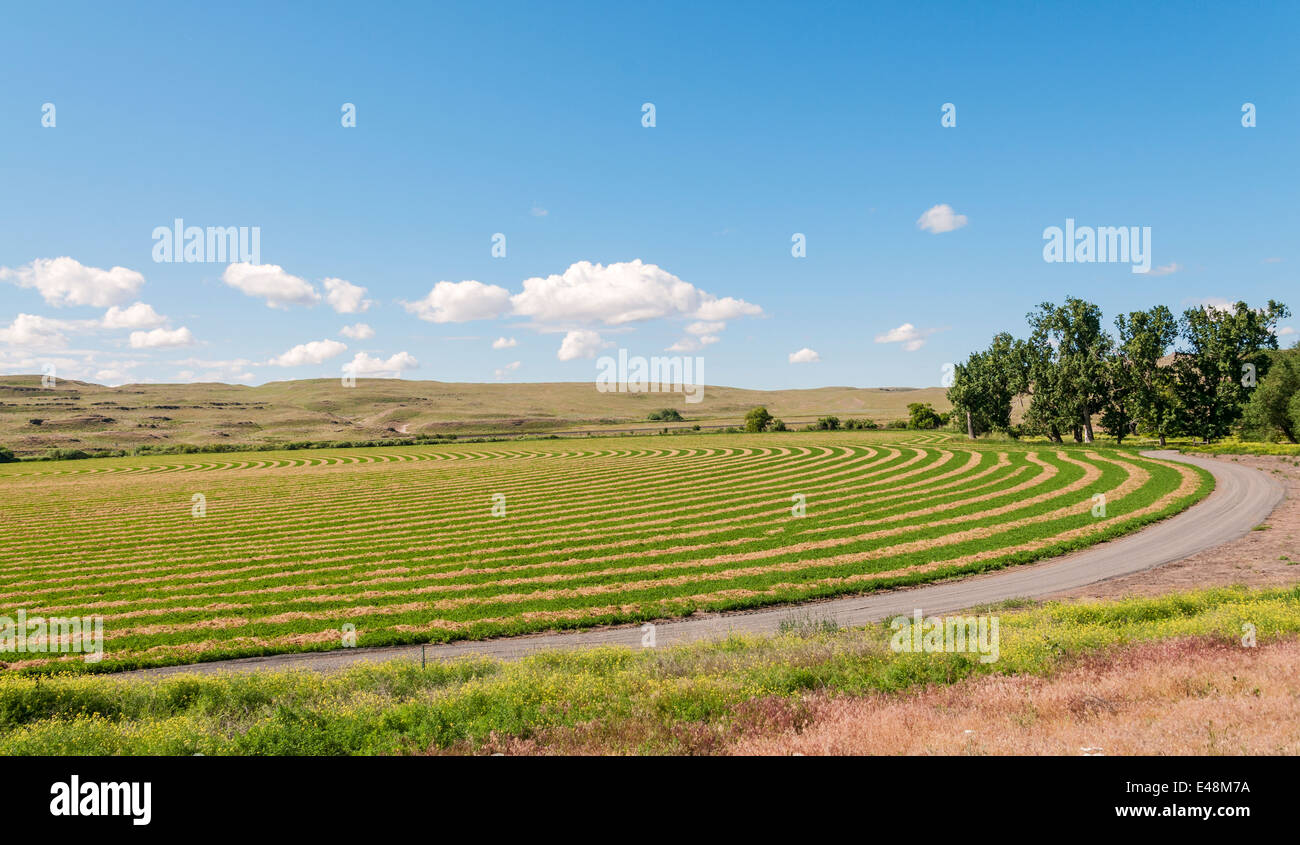 Contour Farming Stockfotos Und Bilder Kaufen Alamy