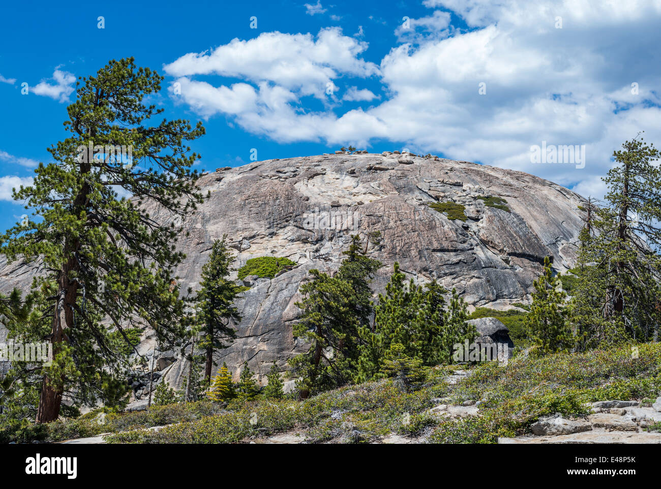 Blick auf Sentinel Dome vom Wanderweg. Yosemite Nationalpark, Kalifornien, USA. Stockfoto